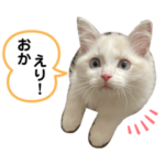 小さいむにくん