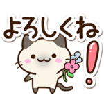 小さいシャム猫