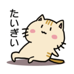 広しまにゃんこ