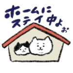 家におる広島弁のマルちゃん