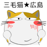 三毛猫のみーこ★広島　よく使うことば