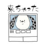 雑種のぶっちい