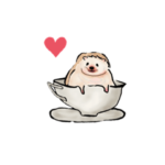 かわいいハリネズミ2ふれあい自由hedgehog