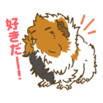 バレンタインモルモット2022