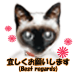 imayoのリアル猫顔⁂動画スタンプ