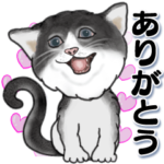 飛び出す！スーパー猫の日スタンプ