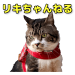 リキちゃんねる実写スタンプ①