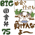 シーズー犬 75『田舎言葉』
