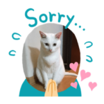 シロちゃんの挨拶