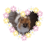 ぱんなちゃんのスタンプ