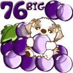 シーズー犬 76『いつもの言葉』