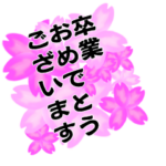 春のおめでとうセット