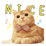 マンチカンの「ぷー」