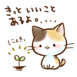 ミケさん。～春～