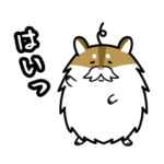 ヤンキーハムスター 4