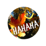 の写真で便利な英語スタンプ