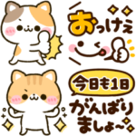 くっきり文字♡ねこねこにゃんこ