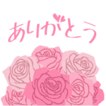 ありがとう/お礼/感謝の挨拶/ピンクの薔薇