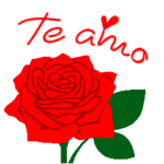スペイン語/『愛してる』赤い薔薇の花