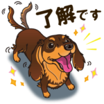 気軽にダックス 行動編