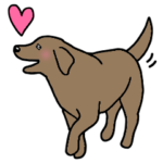 犬種別ラブラドールレトリーバー