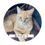 クロスケのチョコちゃん