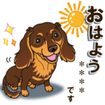 気軽にダックス