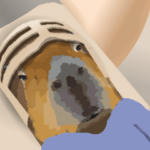 カピバラおじさん10