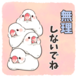 文鳥のきもち