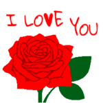 英語/バイリンガル『 愛してる 』薔薇の花