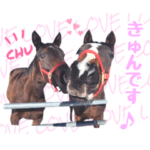 上山牧場のなまらめんこい仔馬ちゃんたち