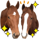 ホースライダーのかわいい馬達