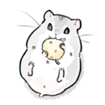 怠惰なジャンガリアンハムスター