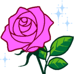 ありがとう・お礼・感謝 / ピンクの薔薇