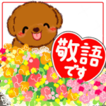 ラブリー♡トイプードル