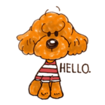 みんなのトイプードル