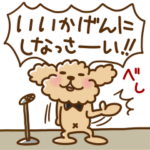 トイプーのぷう太郎 その８