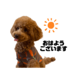 リアンちゃんスタンプ