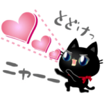 動く☆黒猫子猫ちゃん・気持を伝える編。