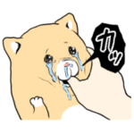 動く！泣きむし猫のキィちゃん