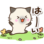 大人やさしい★おちゃめなシャム猫