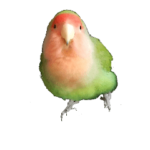 ピースの楽しい絵文字