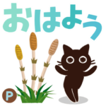 Popup大人かわいい絵本の猫 基本セット