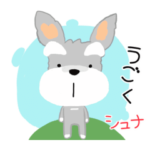 ふんわり癒されシュナウザー