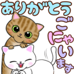 ❤️可愛い二重あごの小猫ちゃんの日常