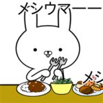 ネット用語を操る☆必死うさぎ☆