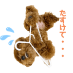 まるのきもち2022