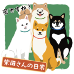 柴犬しばたさんの日常