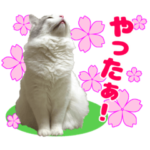 しずく＆北斗★3［春］