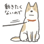 ぐうたらわんこのいいわけ